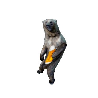 Seems like this bear drank too much beer ...